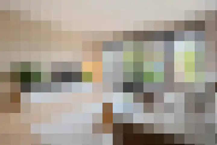 Zwarte Ring 164 Assendelft thumbnail 12