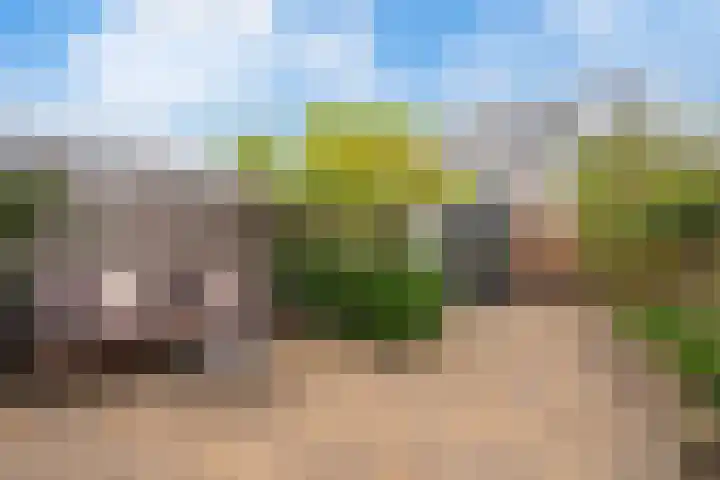 Zwarte Ring 164 Assendelft thumbnail 13