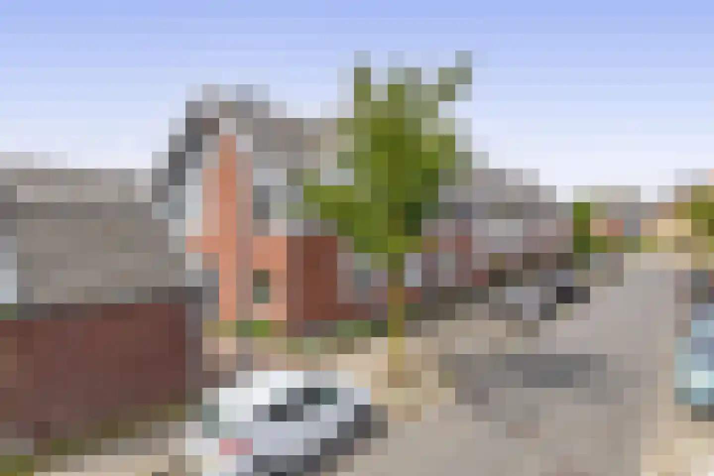 Zwarte Ring 170 Assendelft thumbnail 5