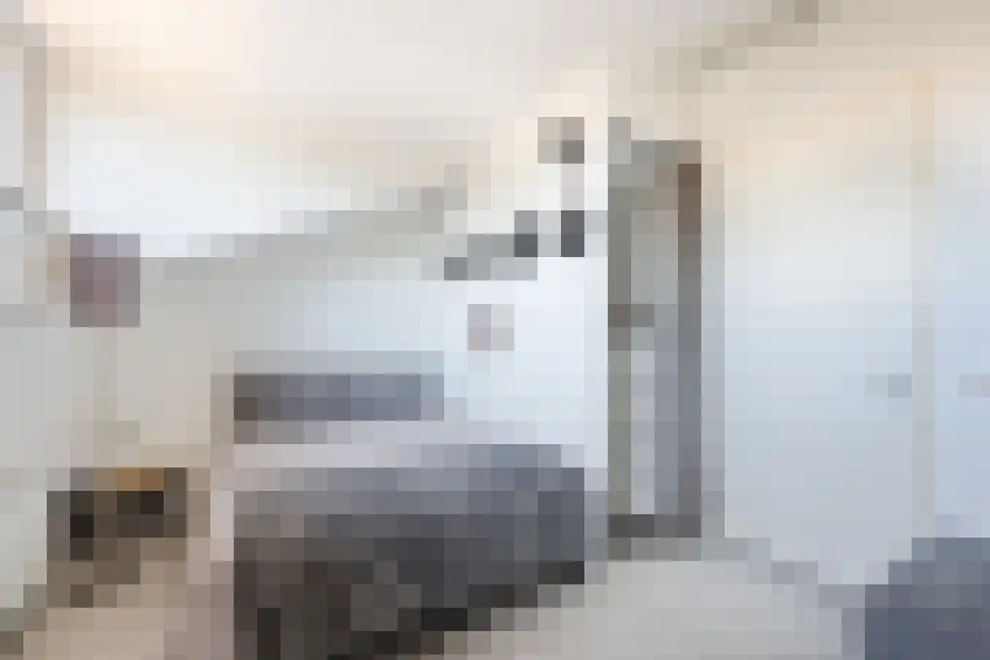 Zwarte Ring 21 Assendelft thumbnail 32