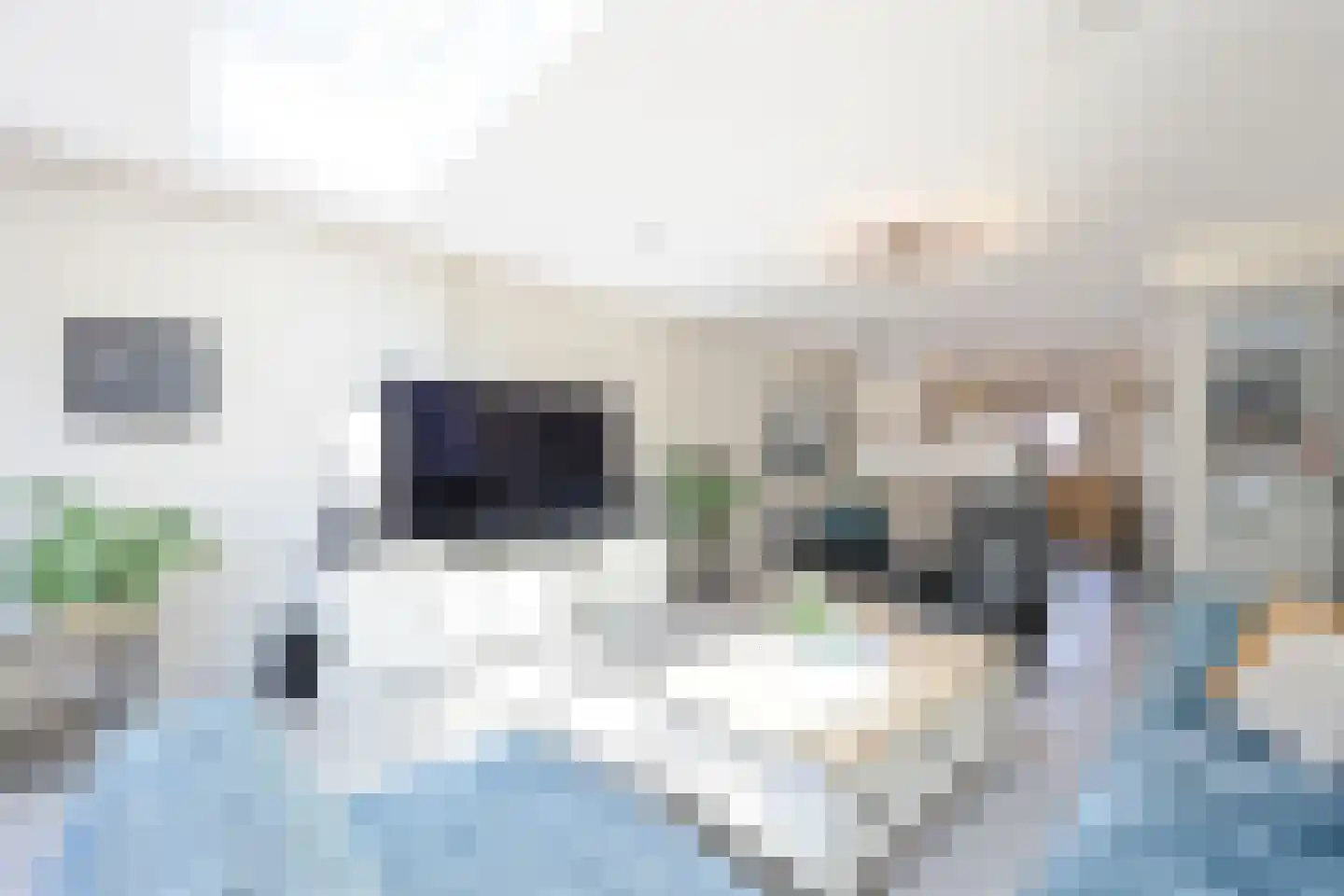 Zwarte Ring 21 Assendelft thumbnail 4