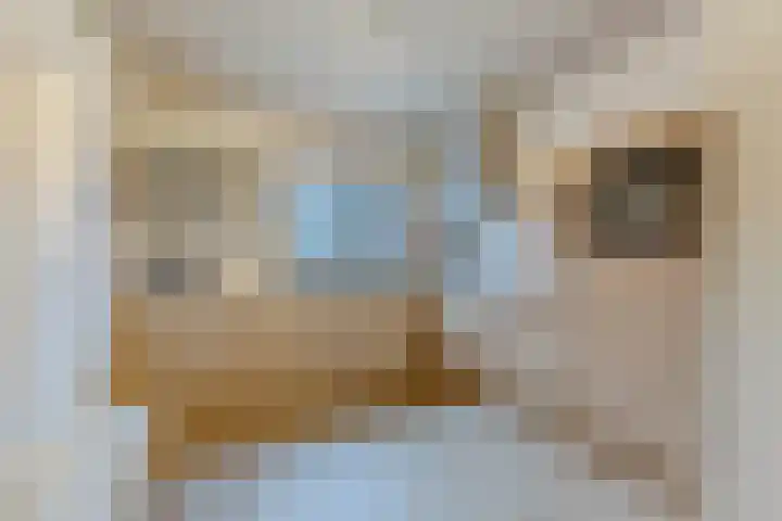 Zwarte Ring 23 Assendelft thumbnail 8