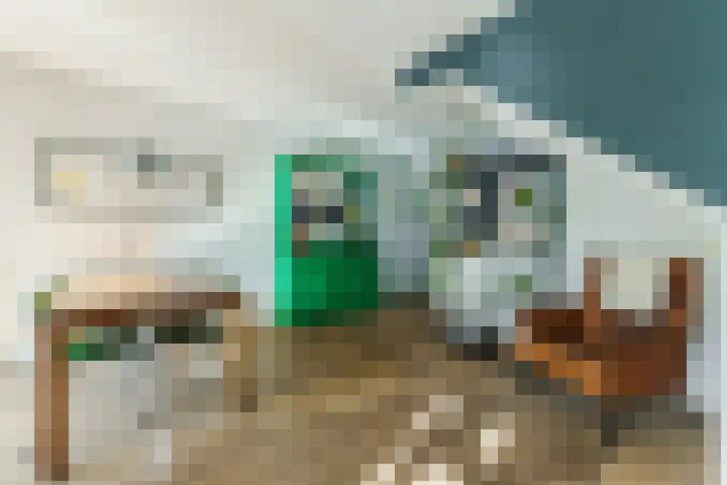 Zwarte Ring 27 Assendelft thumbnail 12