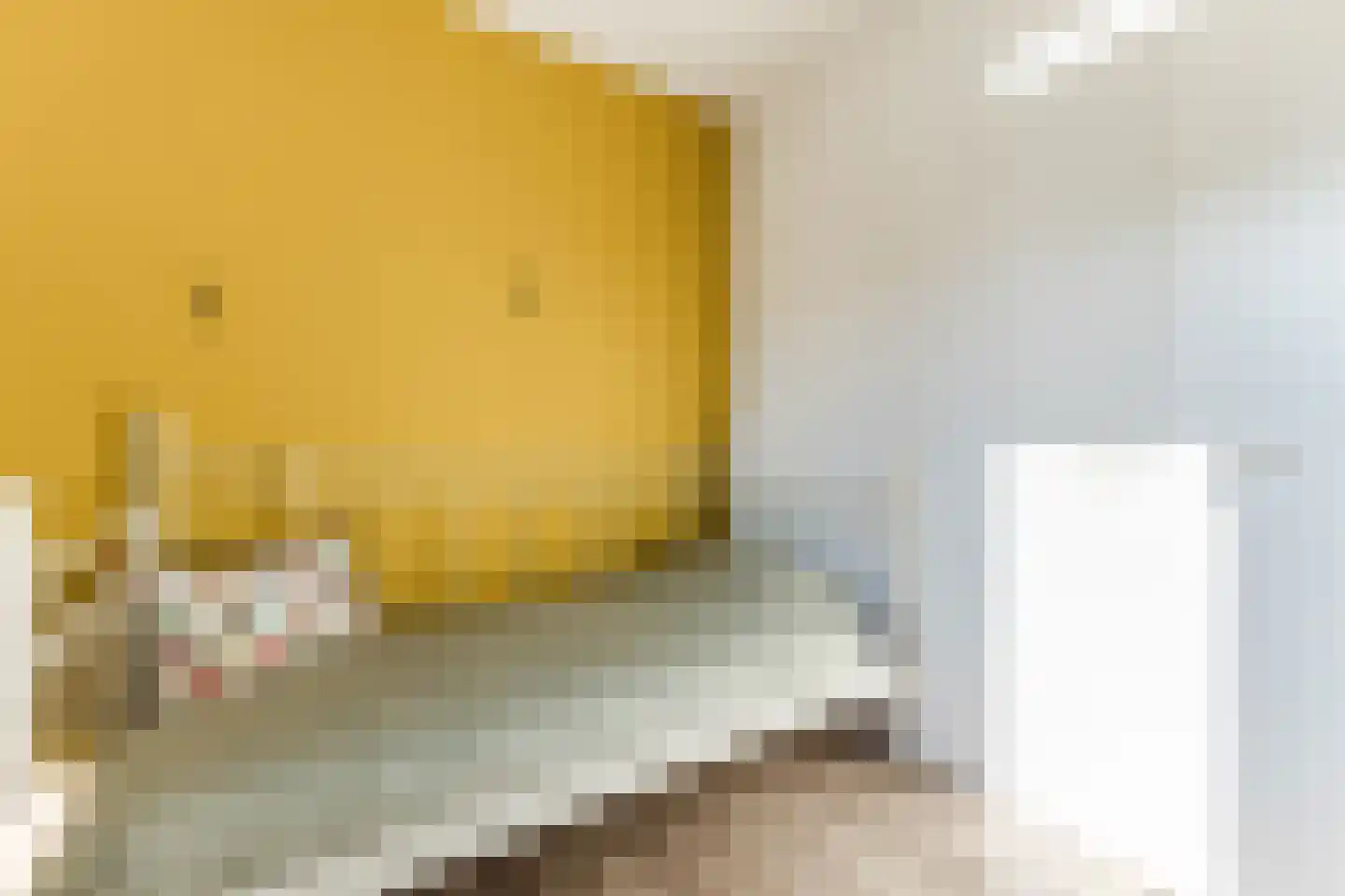 Zwarte Ring 27 Assendelft thumbnail 28