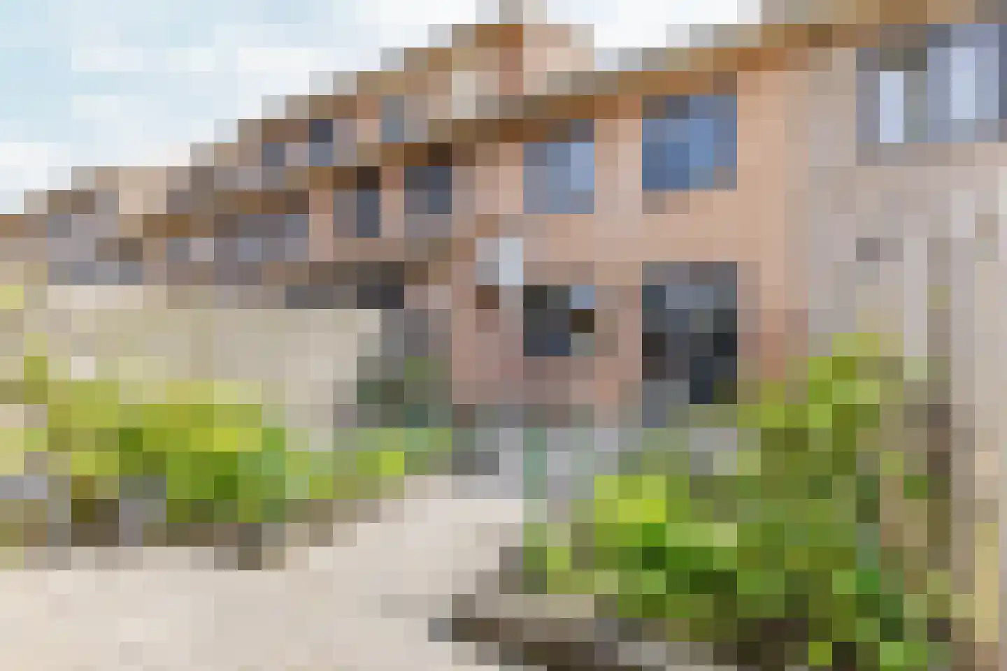 Zwarte Ring 5 Assendelft thumbnail 4