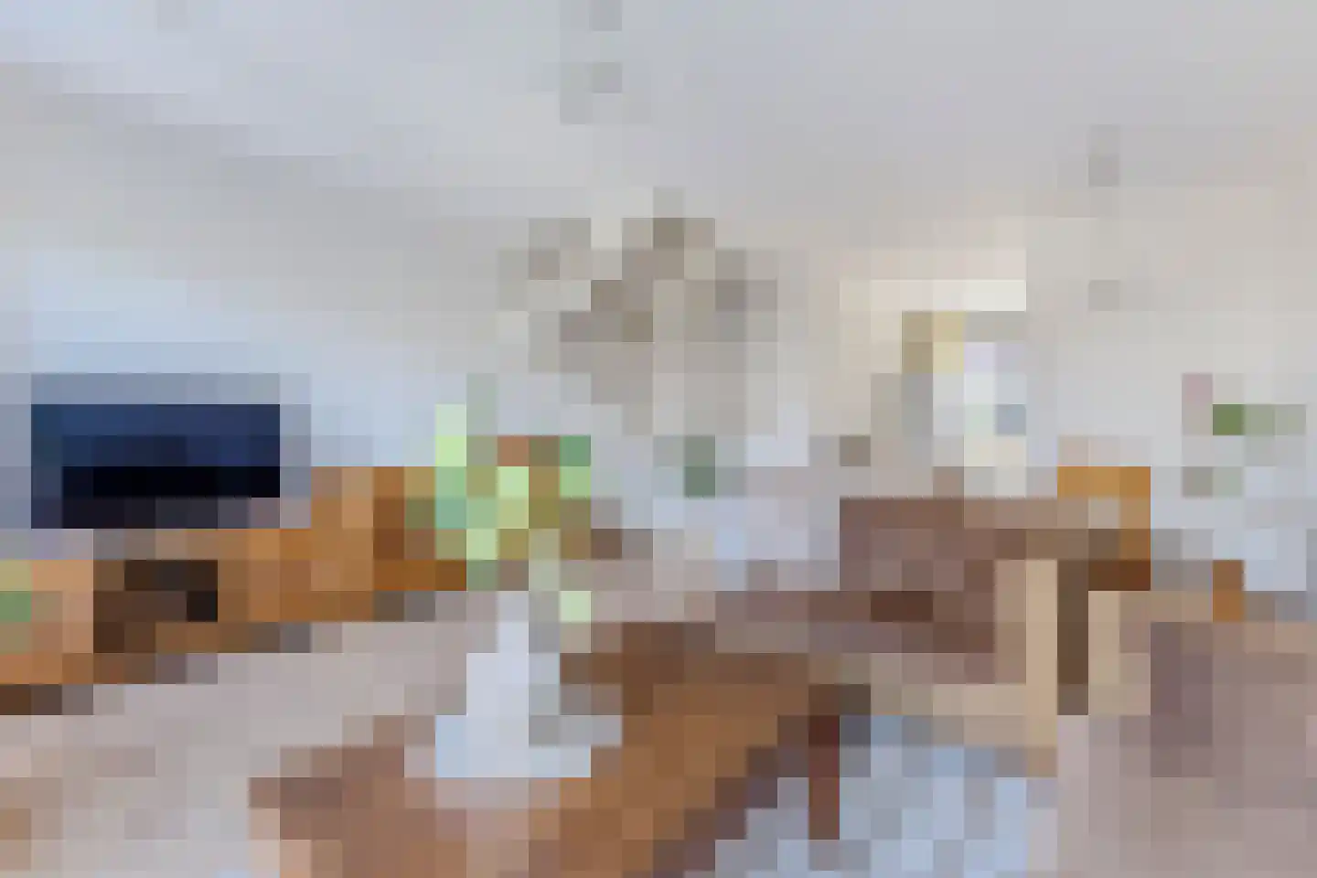 Zwarte Ring 5 Assendelft thumbnail 5