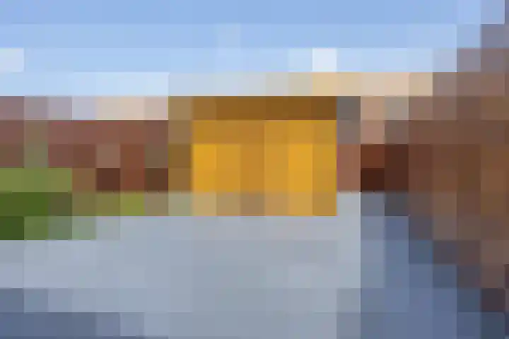 Zwarte Ring 68 Assendelft thumbnail 22