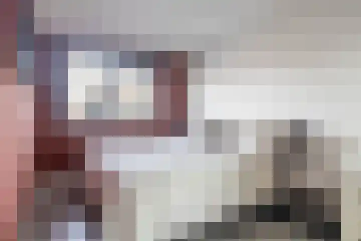 Zwarte Ring 8 Assendelft thumbnail 24