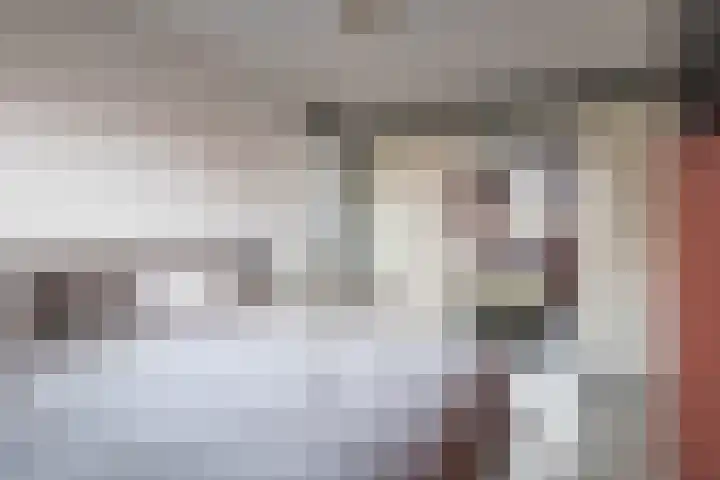 Zwarte Ring 8 Assendelft thumbnail 25