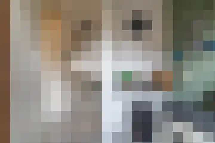Zwarte Ring 8 Assendelft thumbnail 29