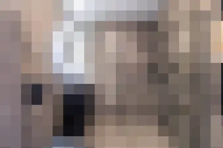 Zwarte Ring 8 Assendelft thumbnail 5