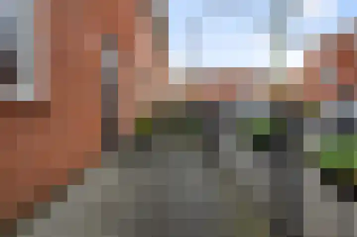 Zwarte Ring 93 Assendelft thumbnail 42