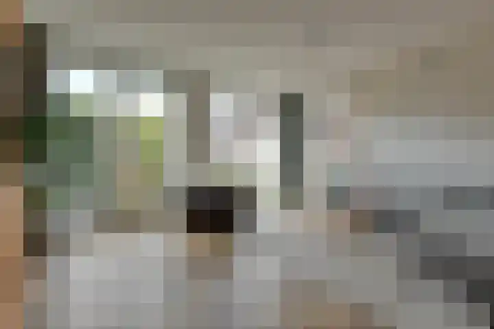 Zwarte Roodstaart 1 Woudenberg thumbnail 10