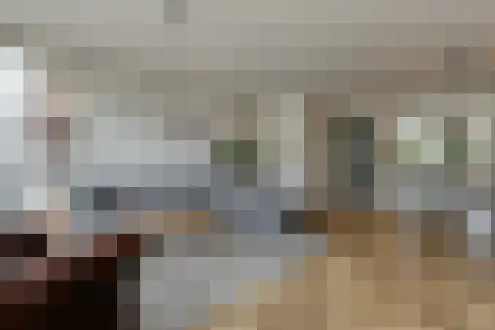 Zwarte Roodstaart 1 Woudenberg thumbnail 11
