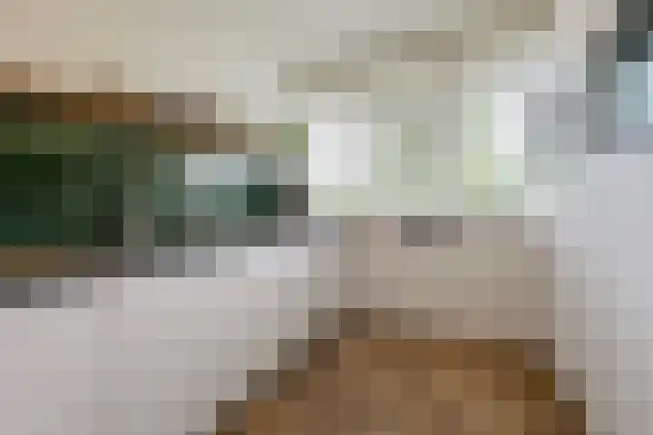 Zwarte Roodstaart 1 Woudenberg thumbnail 16