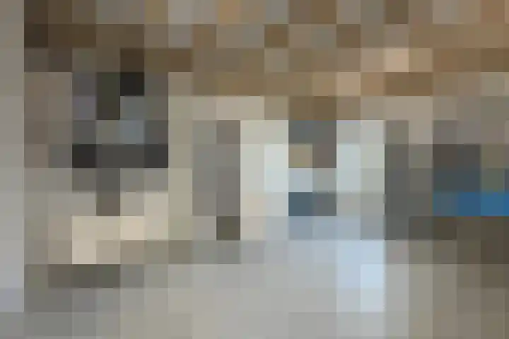 Zwarte Roodstaart 1 Woudenberg thumbnail 34