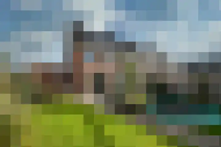 Zwarte Roodstaart 1 Woudenberg thumbnail 38
