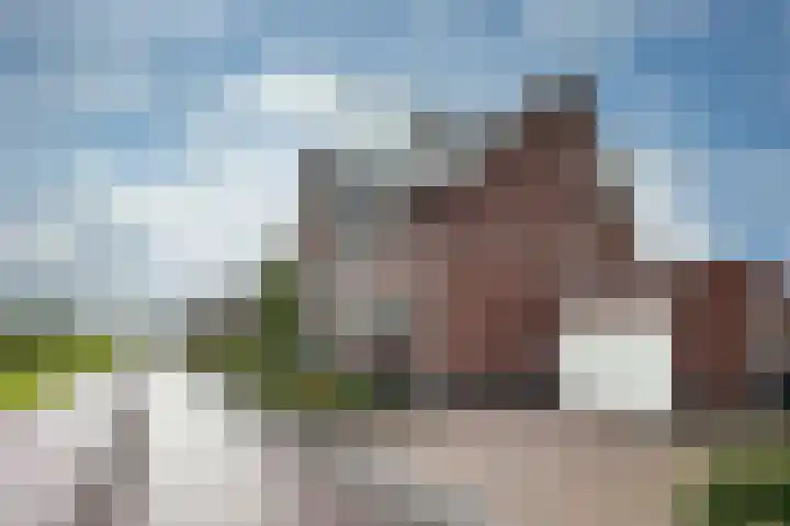 Zwarte Roodstaart 1 Woudenberg thumbnail 39