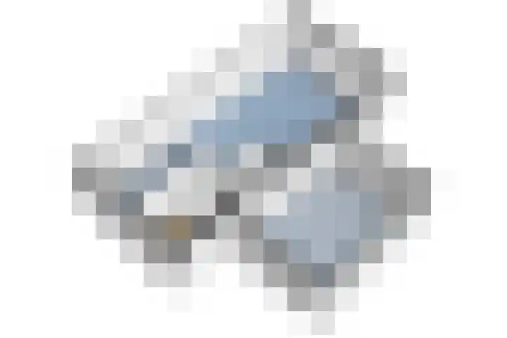 Zwarte Roodstaart 1 Woudenberg thumbnail 41