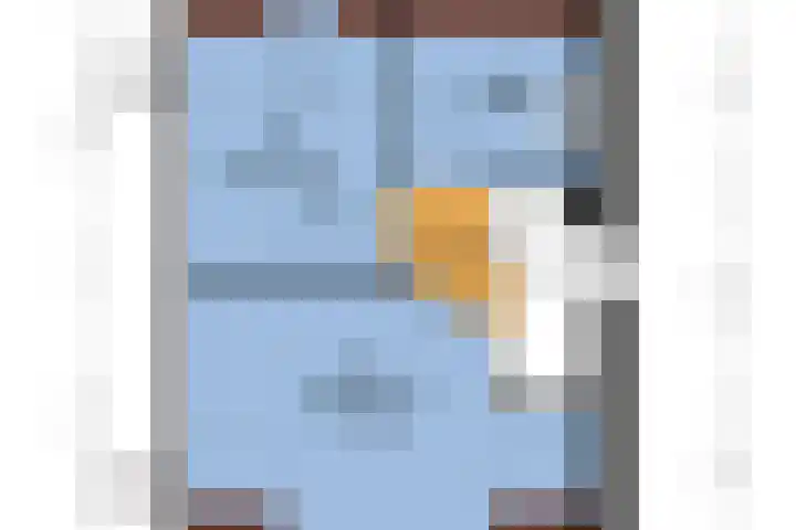 Zwarte Roodstaart 1 Woudenberg thumbnail 46