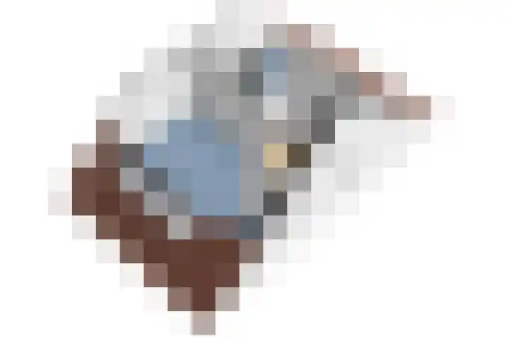 Zwarte Roodstaart 1 Woudenberg thumbnail 47