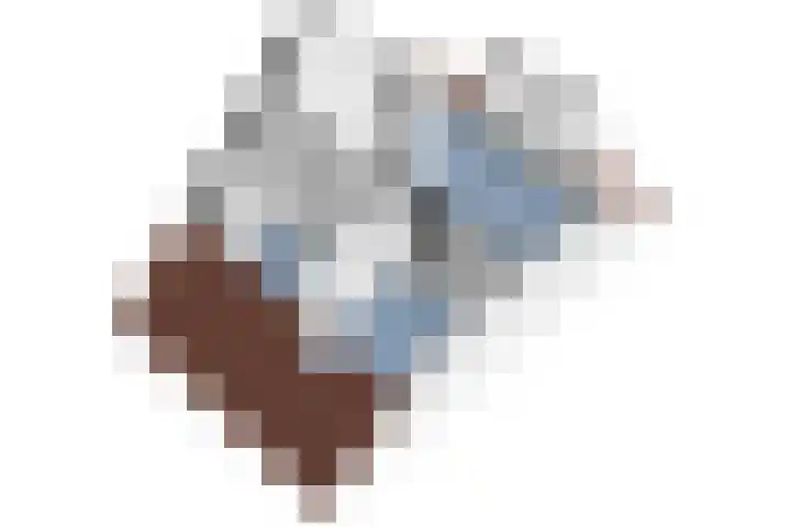Zwarte Roodstaart 1 Woudenberg thumbnail 48