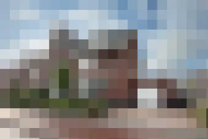 Zwarte Roodstaart 1 Woudenberg thumbnail 53