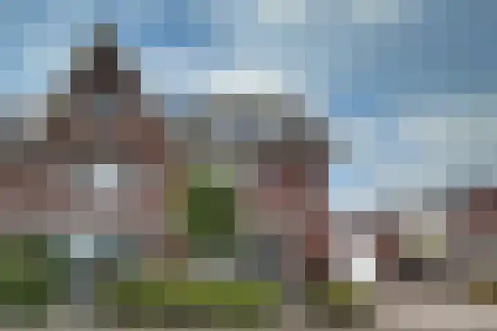Zwarte Roodstaart 1 Woudenberg thumbnail 6