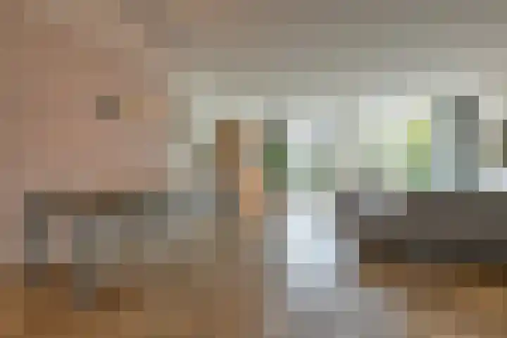 Zwarte Roodstaart 1 Woudenberg thumbnail 8