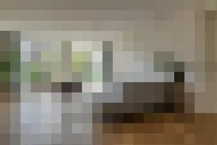 Zwarte Roodstaart 1 Woudenberg thumbnail 9