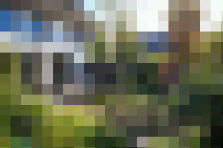 Zwarte Roodstaart 12 Woudenberg thumbnail 34