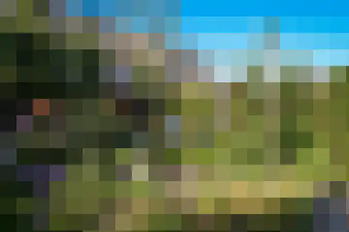 Zwarte Roodstaart 12 Woudenberg thumbnail 36
