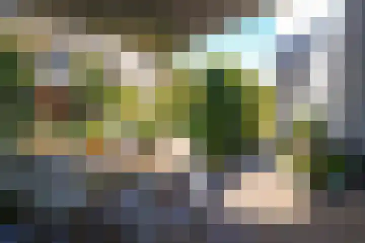 Zwarte Roodstaart 12 Woudenberg thumbnail 37