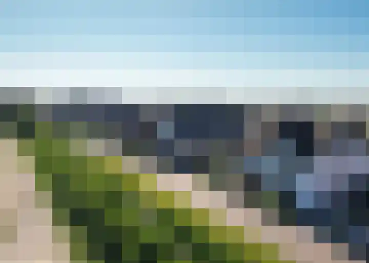 Zwarte Roodstaart 12 Woudenberg thumbnail 4