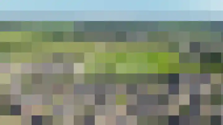 Zwarte Roodstaart 12 Woudenberg thumbnail 5