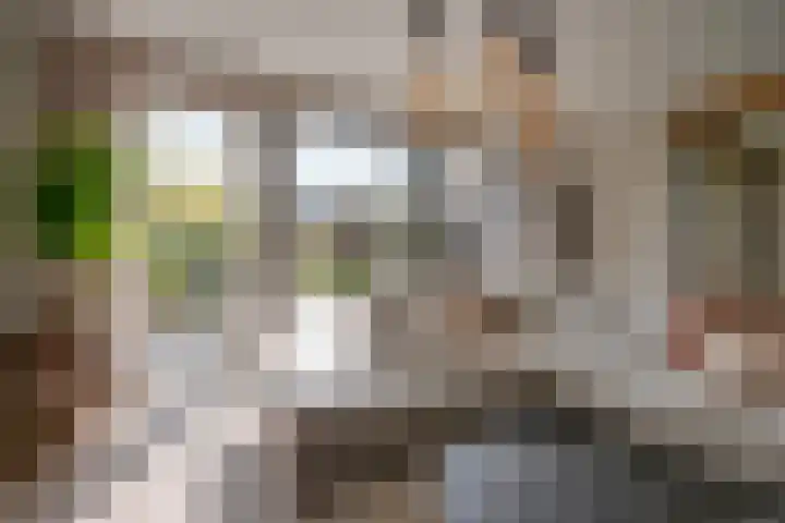 Zwarte Roodstaart 16 Woudenberg thumbnail 10