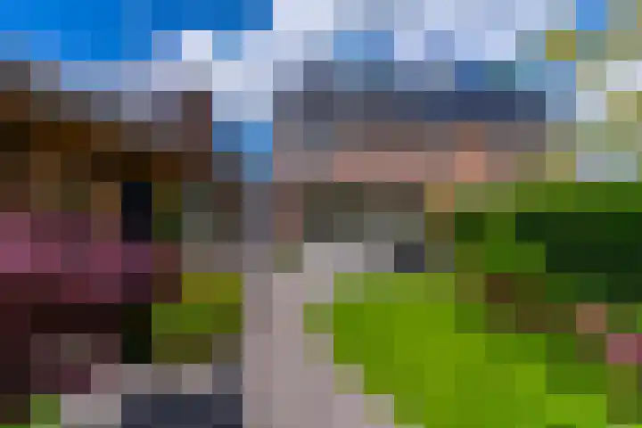 Zwarte Roodstaart 16 Woudenberg thumbnail 38