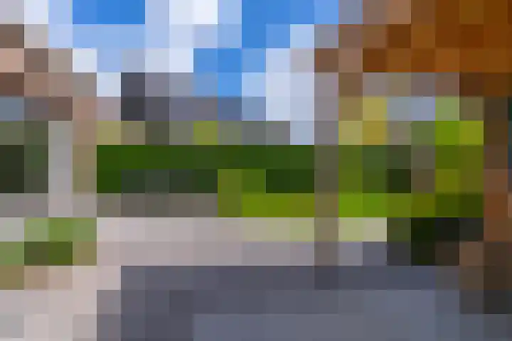 Zwarte Roodstaart 16 Woudenberg thumbnail 42