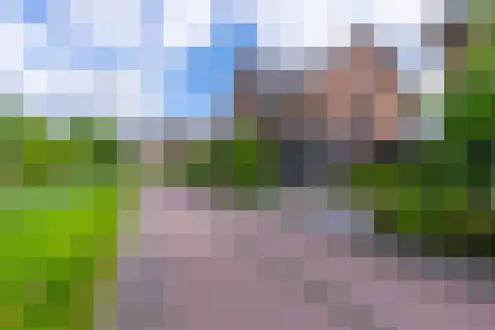 Zwarte Roodstaart 16 Woudenberg thumbnail 5