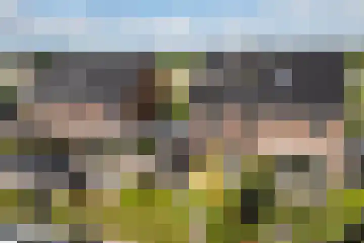 Zwarte Roodstaart 16 Woudenberg thumbnail 6