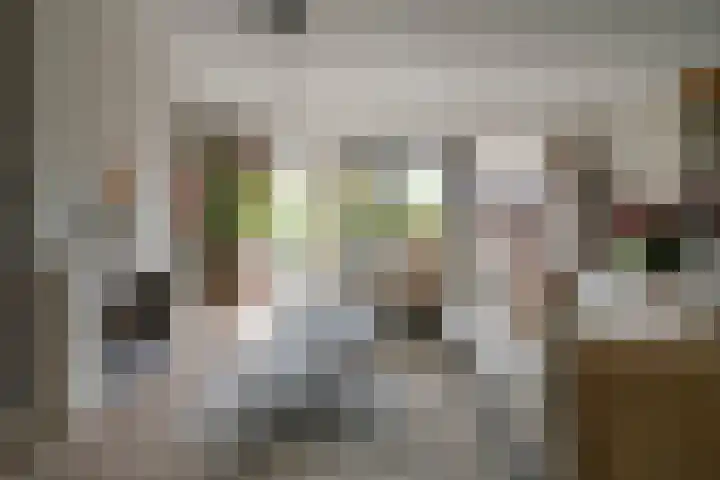 Zwarte Roodstaart 16 Woudenberg thumbnail 9