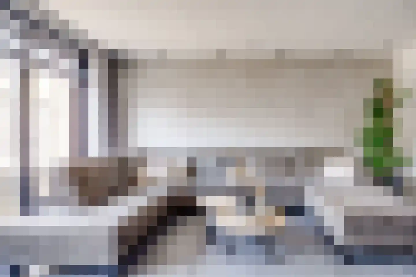 Zwarte Roodstaart 2 Woudenberg thumbnail 10