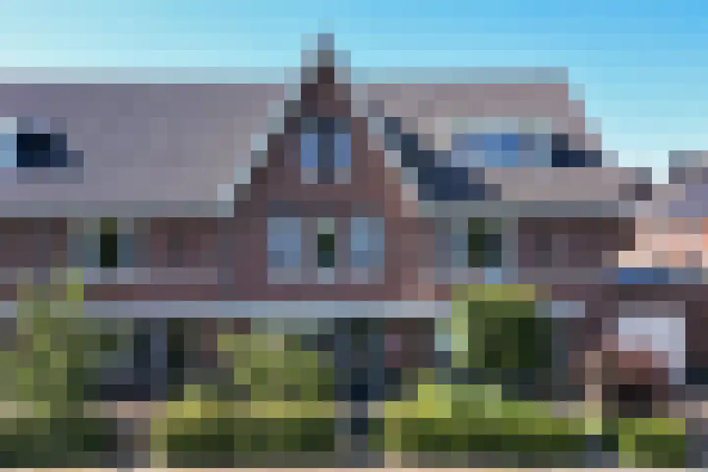 Zwarte Roodstaart 2 Woudenberg foto 2