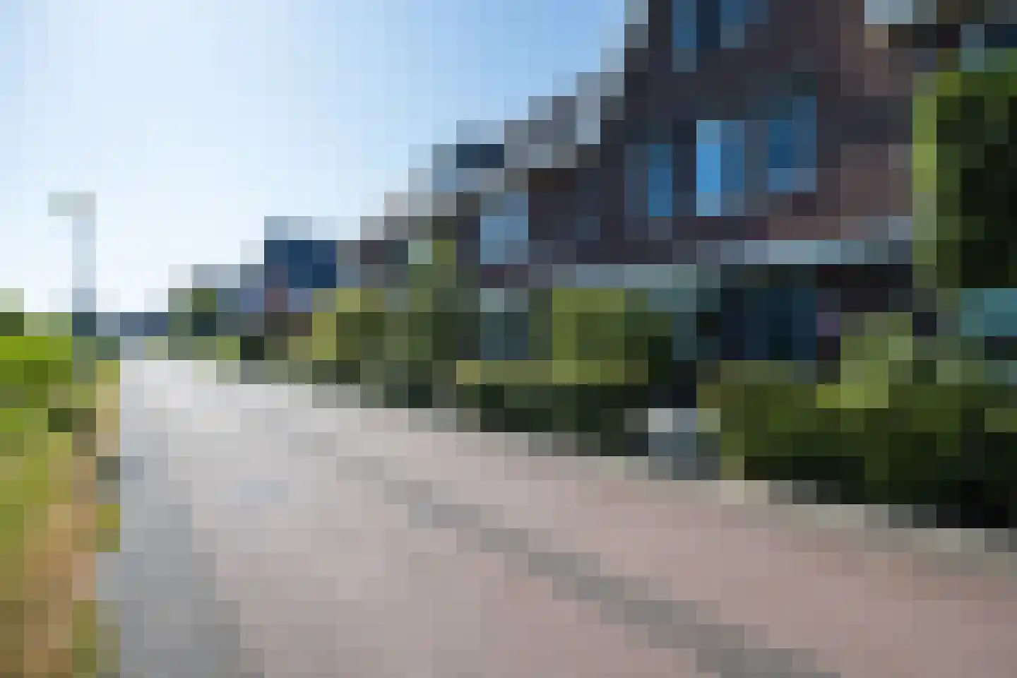 Zwarte Roodstaart 2 Woudenberg foto 3