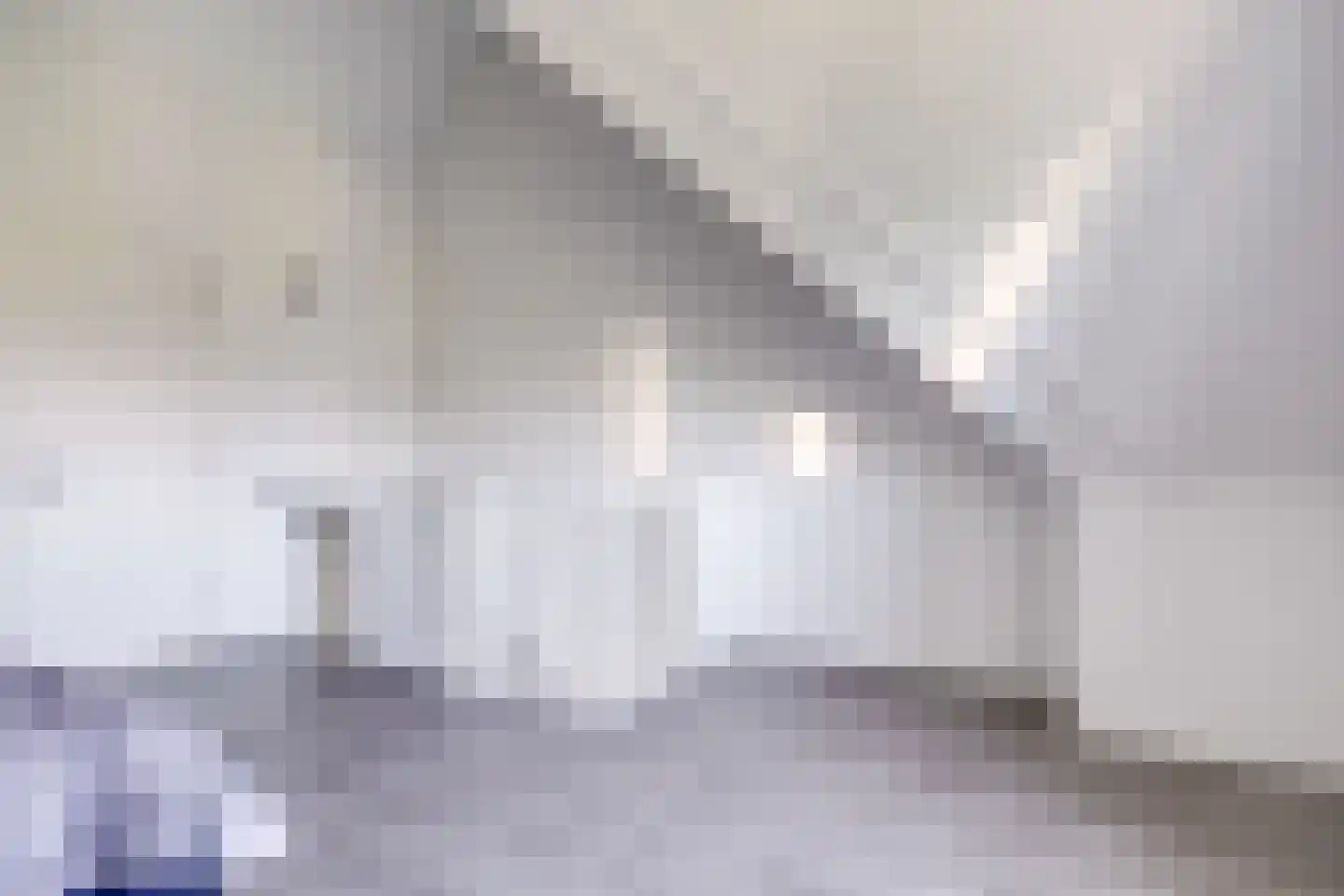Zwarte Roodstaart 2 Woudenberg thumbnail 30