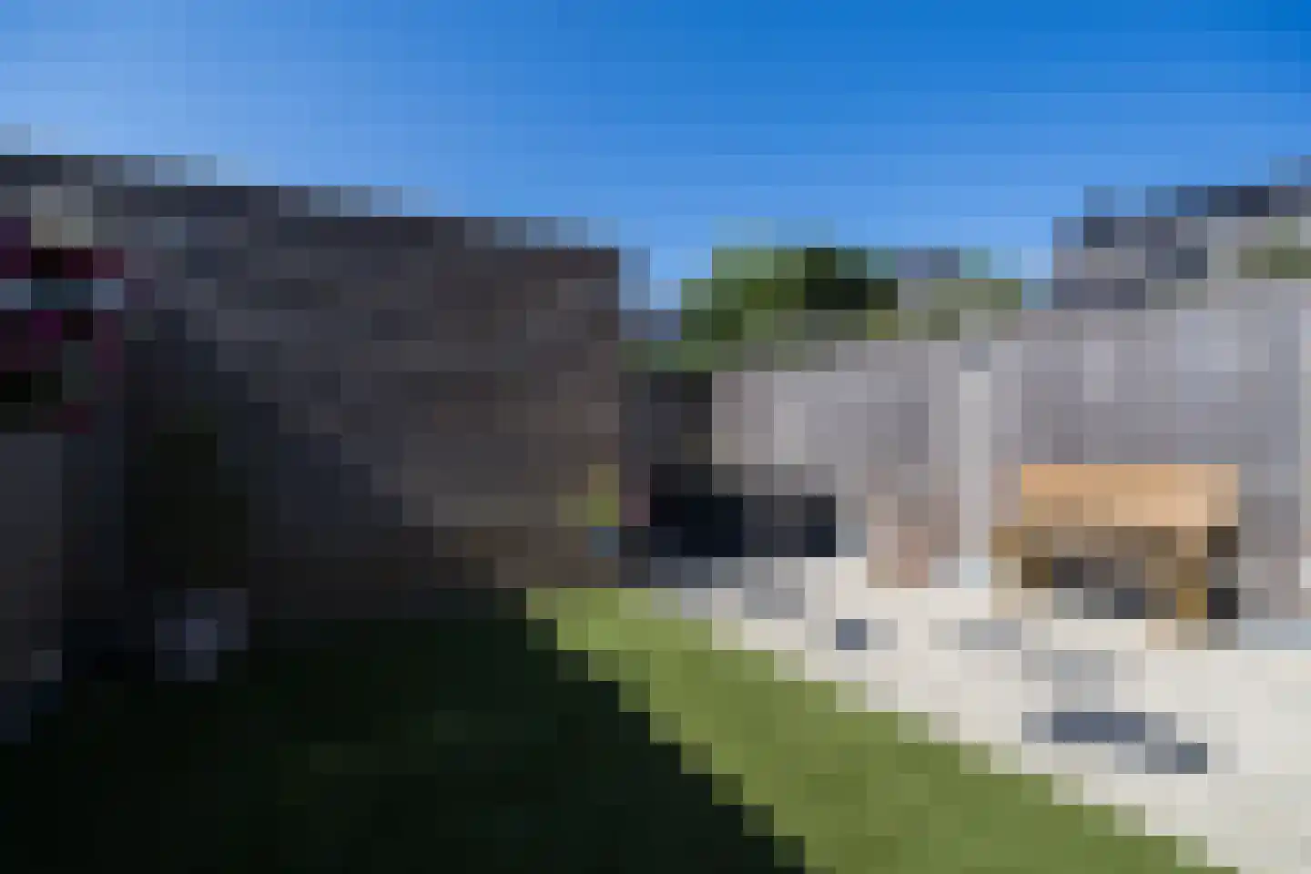 Zwarte Roodstaart 2 Woudenberg thumbnail 31