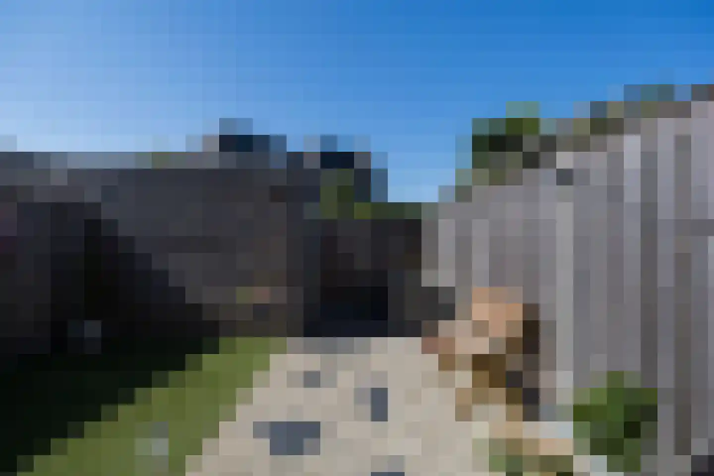 Zwarte Roodstaart 2 Woudenberg thumbnail 34