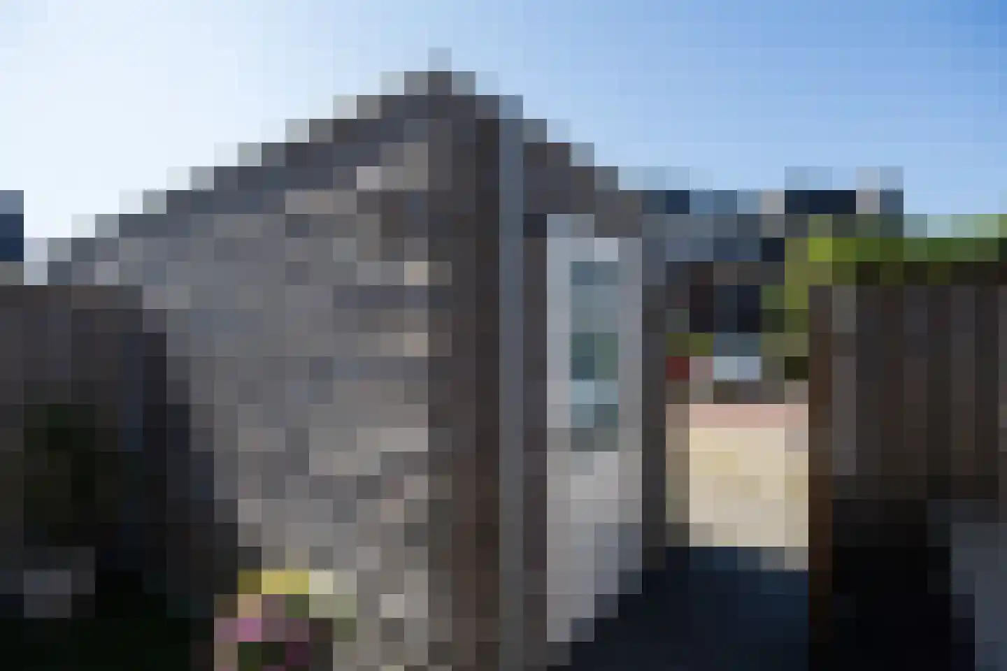 Zwarte Roodstaart 2 Woudenberg thumbnail 37