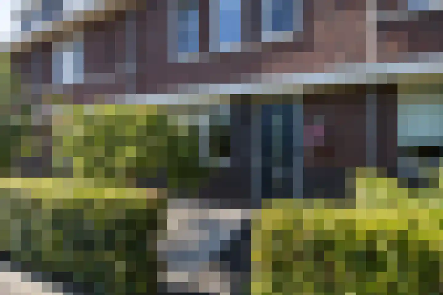 Zwarte Roodstaart 2 Woudenberg thumbnail 5