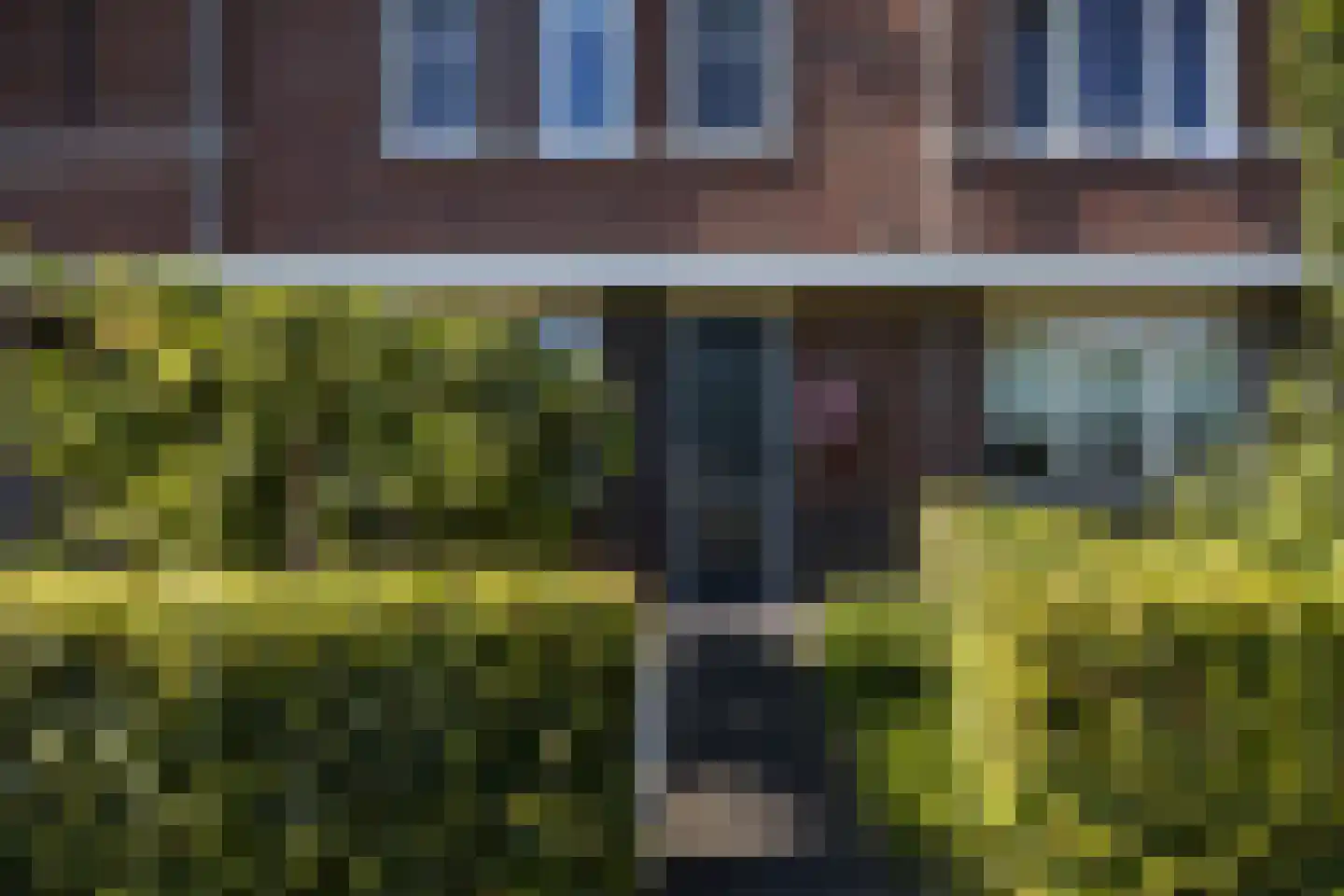Zwarte Roodstaart 2 Woudenberg thumbnail 7